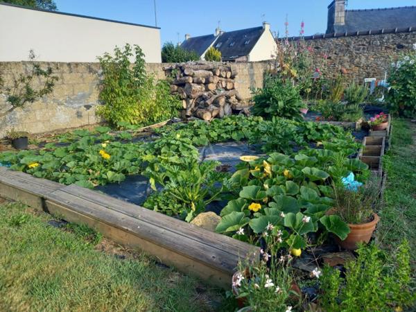 A Vendre Charmante Maison au Cur de Plouha  Accès direct au Centre-Ville, Jardin et Potager