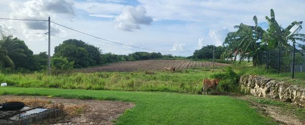 Vente Terrain1000 m² - SAINT FRANCOIS (97118)