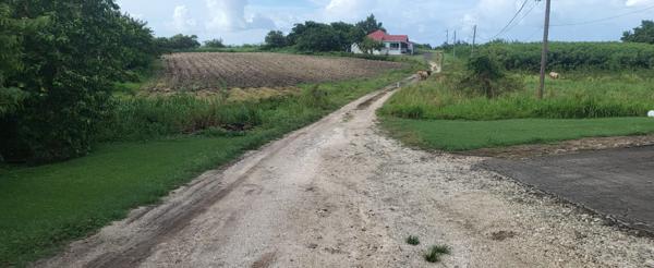 Vente Terrain1000 m² - SAINT FRANCOIS (97118)