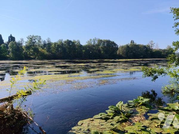 Chauvigny, à 2 minutes du centre ville, terrain d'environ 472 m² en bord de rivière, avec ponton.