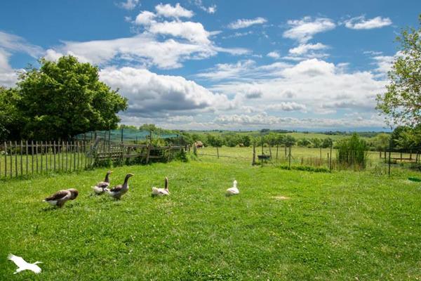 Maison à vendre 830 000 € Clermont-le-Fort 10 p 430 m² DPE D