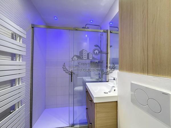 Superbe Studio 18.10 m² entièrement meublé et équipé Lyon 3e, Accès Universités, tram T3 et métro D