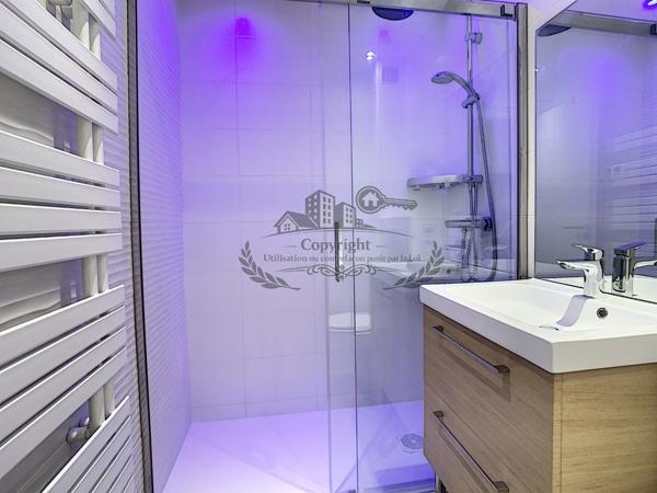 Superbe Studio 18.10 m² entièrement meublé et équipé Lyon 3e, Accès Universités, tram T3 et métro D