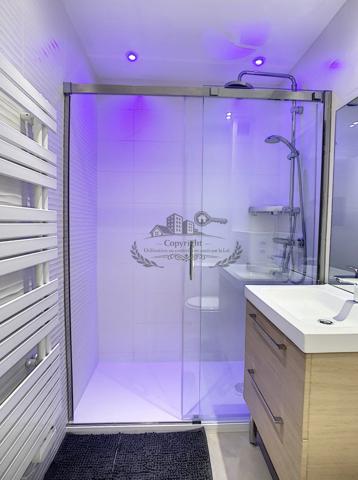 Superbe Studio 18.10 m² entièrement meublé et équipé Lyon 3e, Accès Universités, tram T3 et métro D
