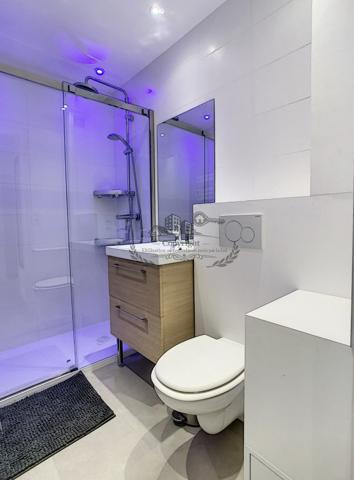 Superbe Studio 18.10 m² entièrement meublé et équipé Lyon 3e, Accès Universités, tram T3 et métro D