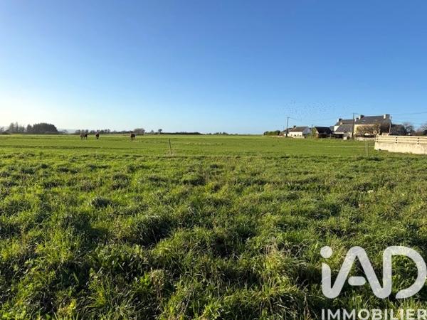 Terrain à vendre 3 420 m² Plozévet