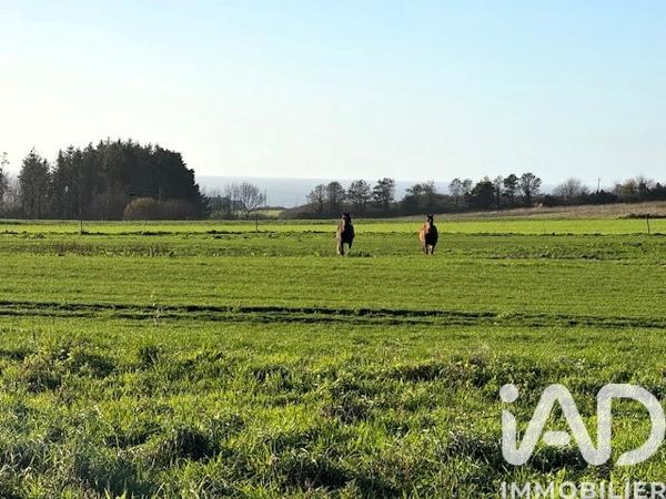 Terrain à vendre 3 420 m² Plozévet