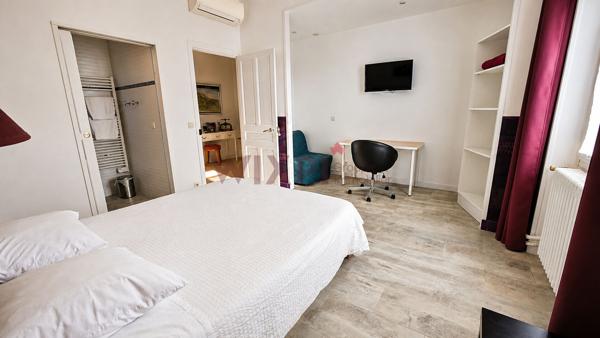 Grande maison bourgeoise au coeur de Romans-sur-Isère, 6 chambres, jardin, garage , Romans sur isere
