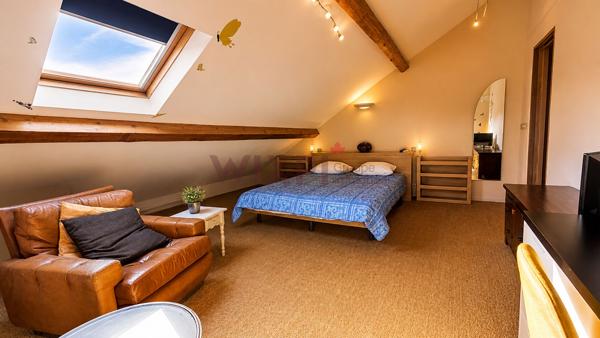 Grande maison bourgeoise au coeur de Romans-sur-Isère, 6 chambres, jardin, garage , Romans sur isere