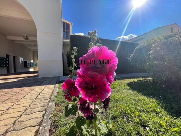 Vaux-sur-Mer (17640) VAUX-PONTAILLAC, Appartement duplex avec loggia, piscine, stationnement au prix de 147.000€ HAI