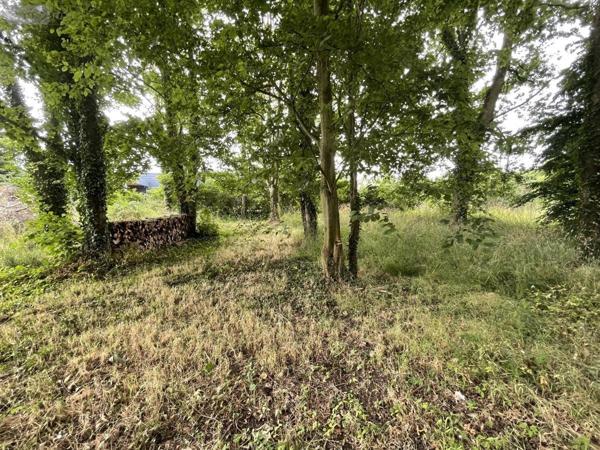 Maison à vendre à Plouézec dans les Côtes-d'Armor (22470), ref : 22023-3355