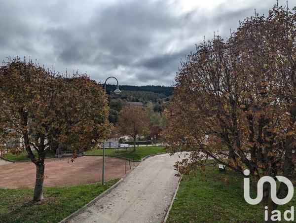 Maison à vendre 18 pièces 320 m² Lalouvesc