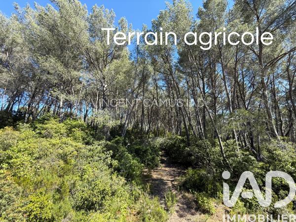 Terrain à vendre 7 325 m² La Cadière-d'Azur