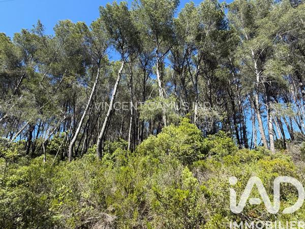 Terrain à vendre 7 325 m² La Cadière-d'Azur