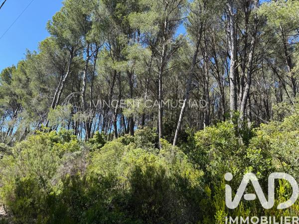 Terrain à vendre 7 325 m² La Cadière-d'Azur