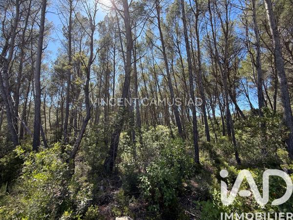 Terrain à vendre 7 325 m² La Cadière-d'Azur
