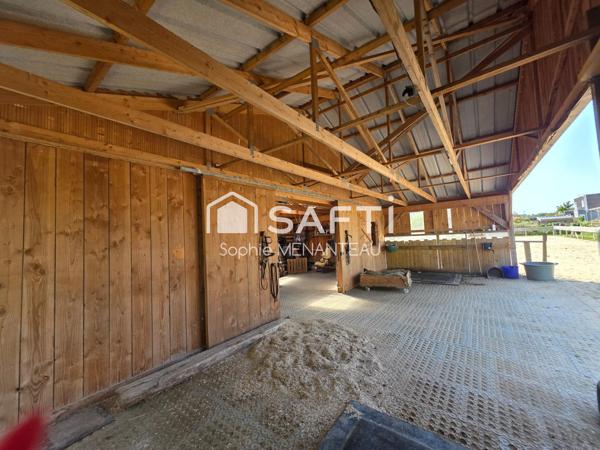 Havre de paix pour cavaliers à 10 min du Touquet !