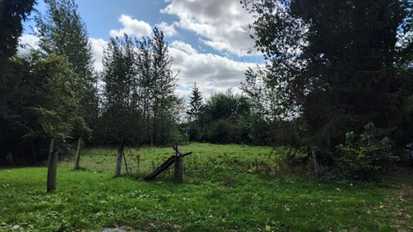 Maison à rénover sur 5000 m2 de terrain