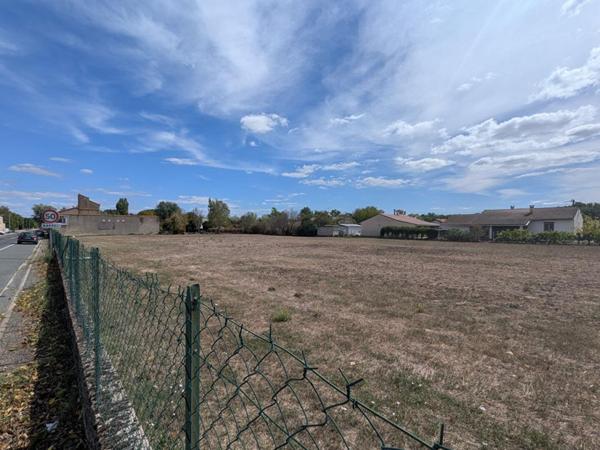 Axe Albi-Castres, forte visibilité ! : TERRAIN CONSTRUCTIBLE
