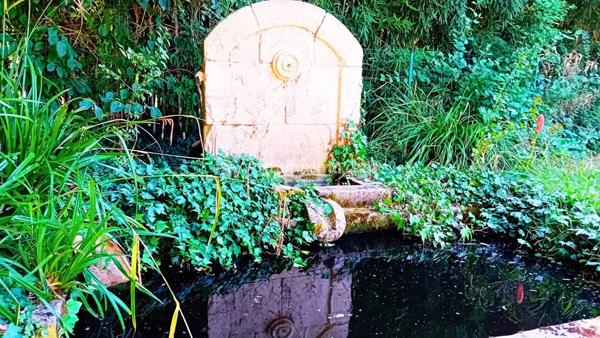 Vente Propriété 7 pièces 262 m2 à Revel