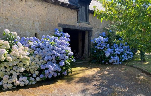 Maison de charme à vendre à Chantepie - 5 chambres, 169 m² sur 2600 m² de terrain