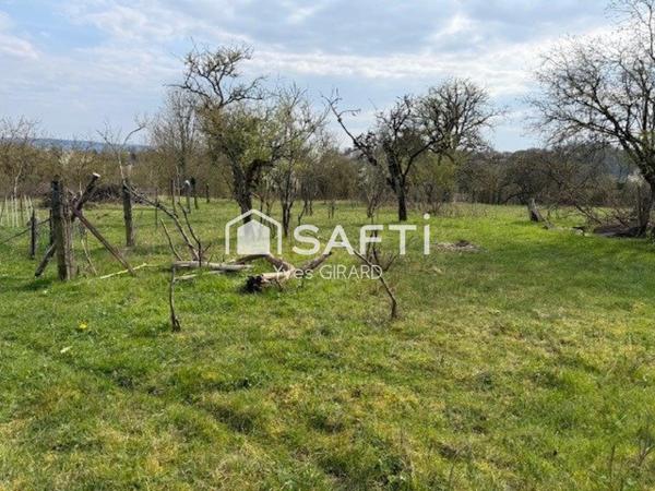 Profitez de ce terrain de loisir