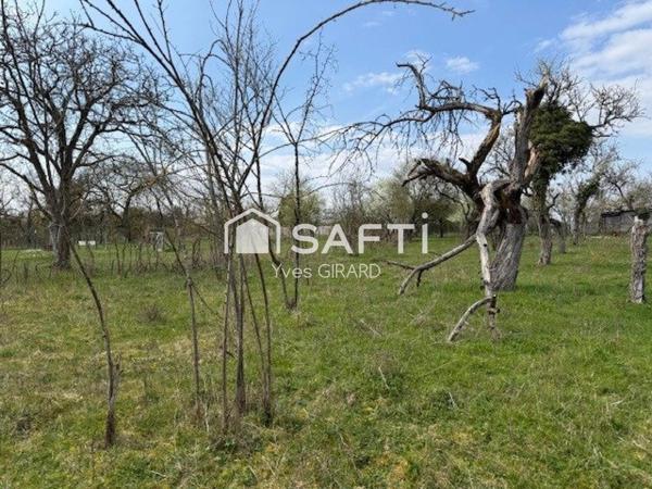 Profitez de ce terrain de loisir