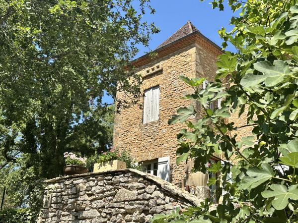 Propriété de caractère avec maisons d'amis indépendant et piscine à proximité de Saint-Cyprien