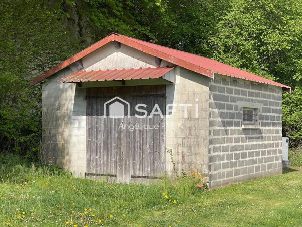 Tranquilité aux abords de la forêt