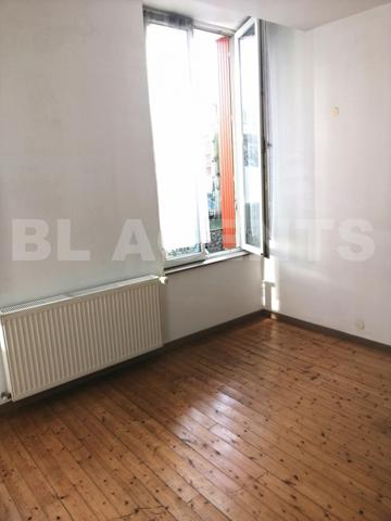 DANTON UNIVERSITE BEL APPARTEMENT LUMINEUX 