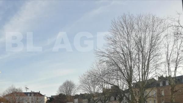 DANTON UNIVERSITE BEL APPARTEMENT LUMINEUX 