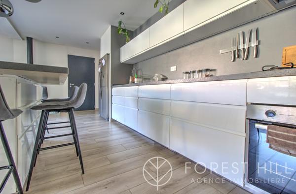 Céret (66400) Maison 4 faces,récente proche tous commerces