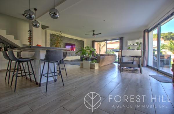 Céret (66400) Maison 4 faces,récente proche tous commerces