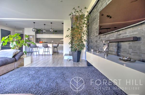 Céret (66400) Maison 4 faces,récente proche tous commerces