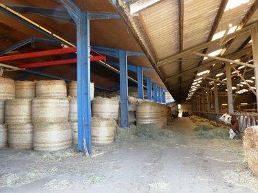 Divers à vendre à Le Saint dans le Morbihan (56110), ref : 56075-2414