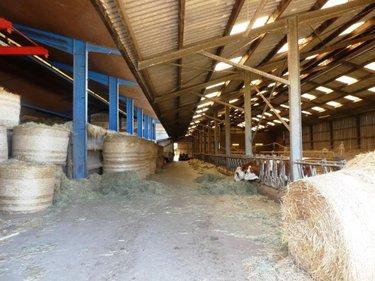 Divers à vendre à Le Saint dans le Morbihan (56110), ref : 56075-2414