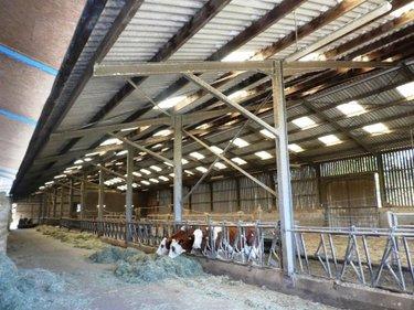 Divers à vendre à Le Saint dans le Morbihan (56110), ref : 56075-2414