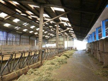 Divers à vendre à Le Saint dans le Morbihan (56110), ref : 56075-2414