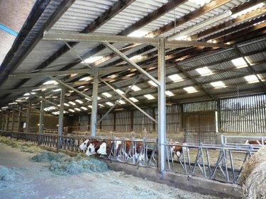 Divers à vendre à Le Saint dans le Morbihan (56110), ref : 56075-2414