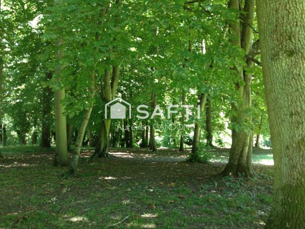 Maison prestigieuse avec charme