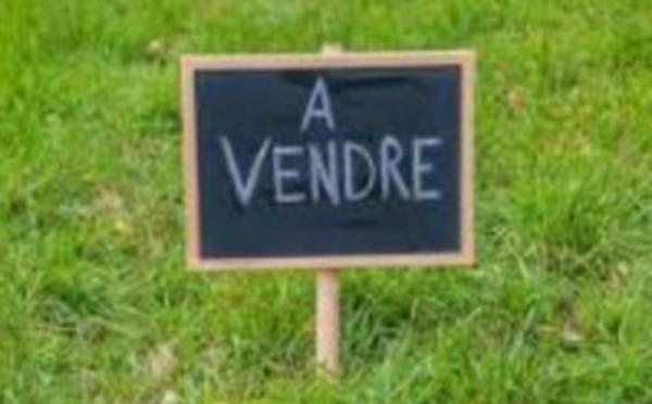 À VENDRE : Terrain de 1,2 hectare au Gosier