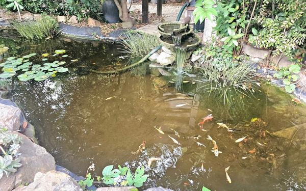 Maison à vendre    5 pièces • 160 m2 La Seyne-sur-Mer