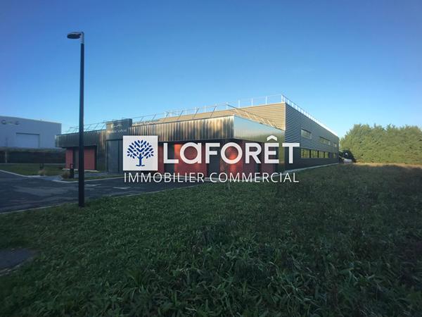 Location local commercial Connerré - 1162 m² - 5 500 €/mois