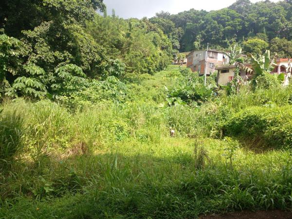 terrain constructible de 1200m² sur une surface totale de 2577m²