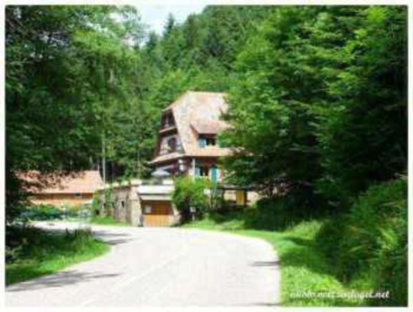 Dpt Bas-Rhin (67), à vendre proche de Strasbourg : Auberge - Gite - Emplacement N° 1 - Massif Vosgien - 1 155 m2 - Propriété 17,5 ares - Marcheurs - Motards - GR 53 - Hexa Trek - Parking