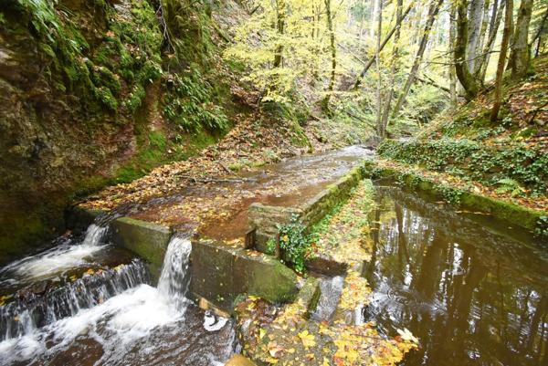 Dpt Bas-Rhin (67), à vendre proche de Strasbourg : Auberge - Gite - Emplacement N° 1 - Massif Vosgien - 1 155 m2 - Propriété 17,5 ares - Marcheurs - Motards - GR 53 - Hexa Trek - Parking