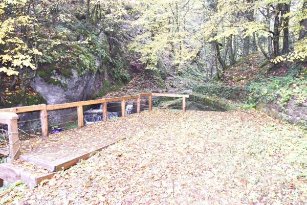 Dpt Bas-Rhin (67), à vendre proche de Strasbourg : Auberge - Gite - Emplacement N° 1 - Massif Vosgien - 1 155 m2 - Propriété 17,5 ares - Marcheurs - Motards - GR 53 - Hexa Trek - Parking