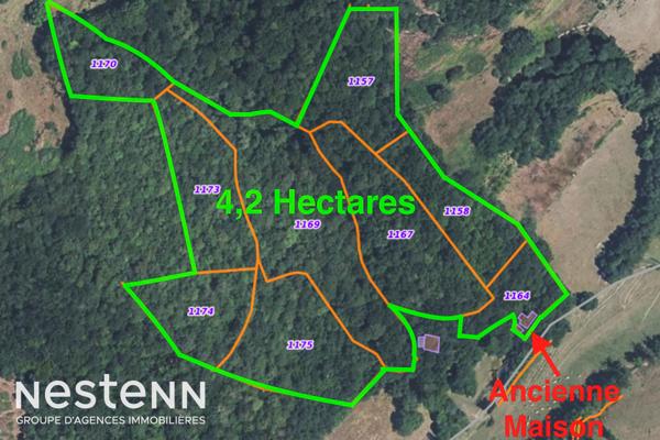 Curvalle Terrain boisé avec ruine