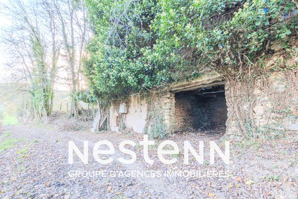 Curvalle Terrain boisé avec ruine