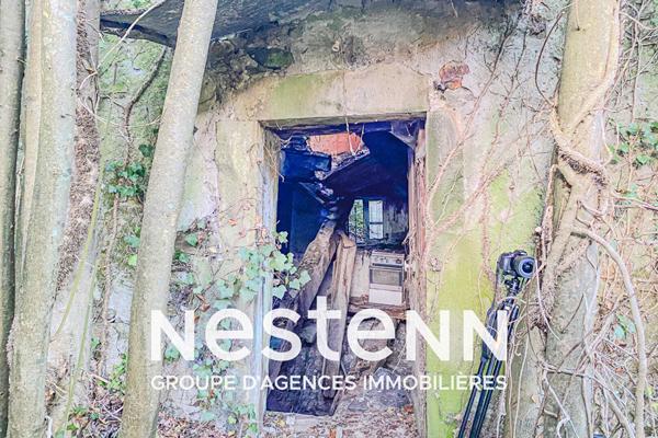 Curvalle Terrain boisé avec ruine